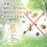 国産 青森ヒバ 天然100% 精油 5ｍｌ